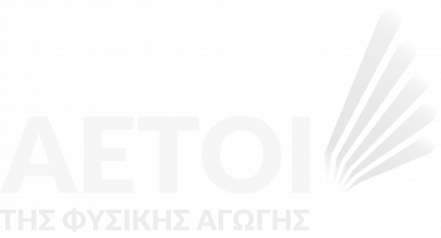 Αετοί της φυσικής αγωγής